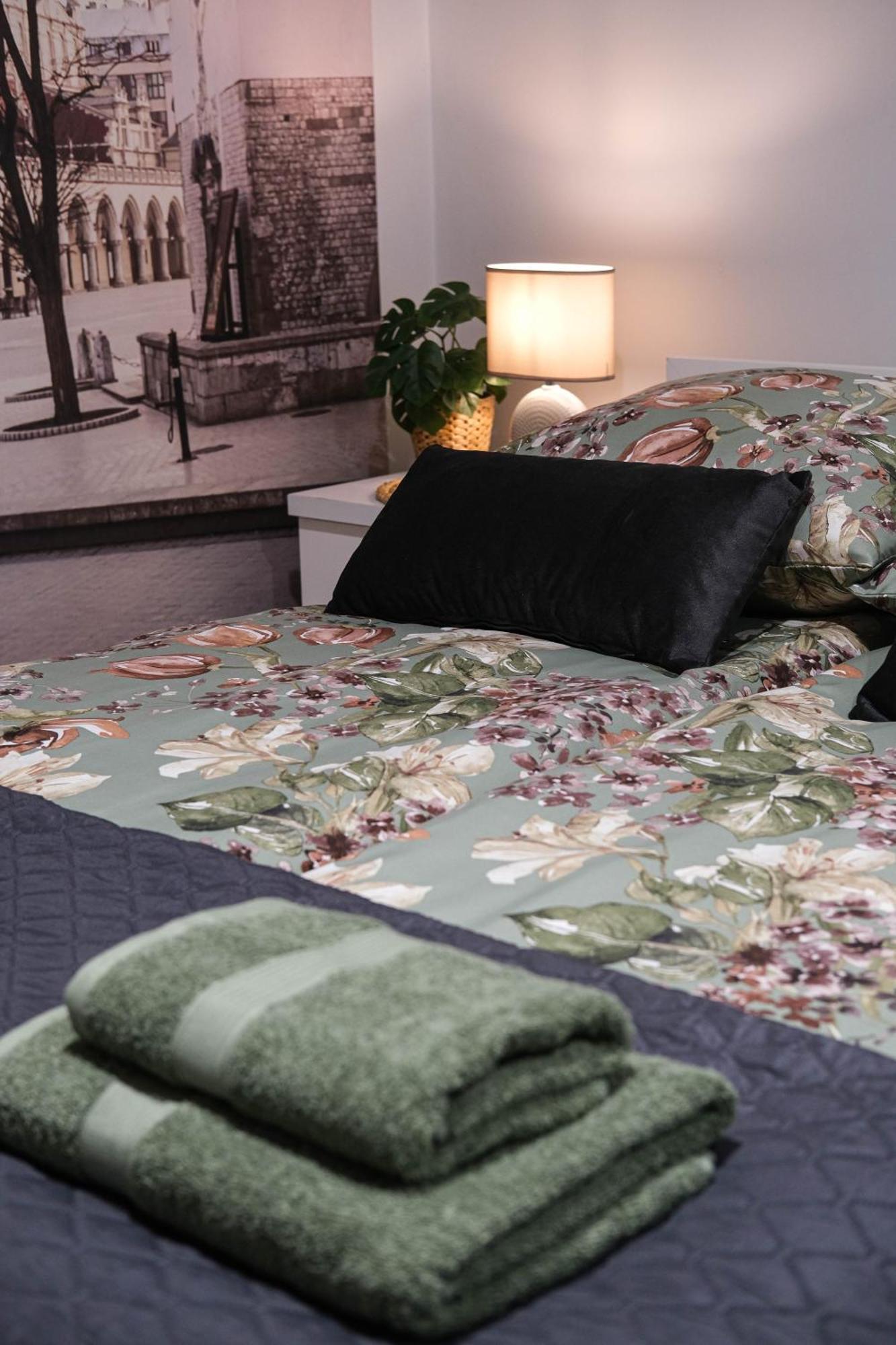 Old Town Wawel II Premium Apartments クラクフ エクステリア 写真